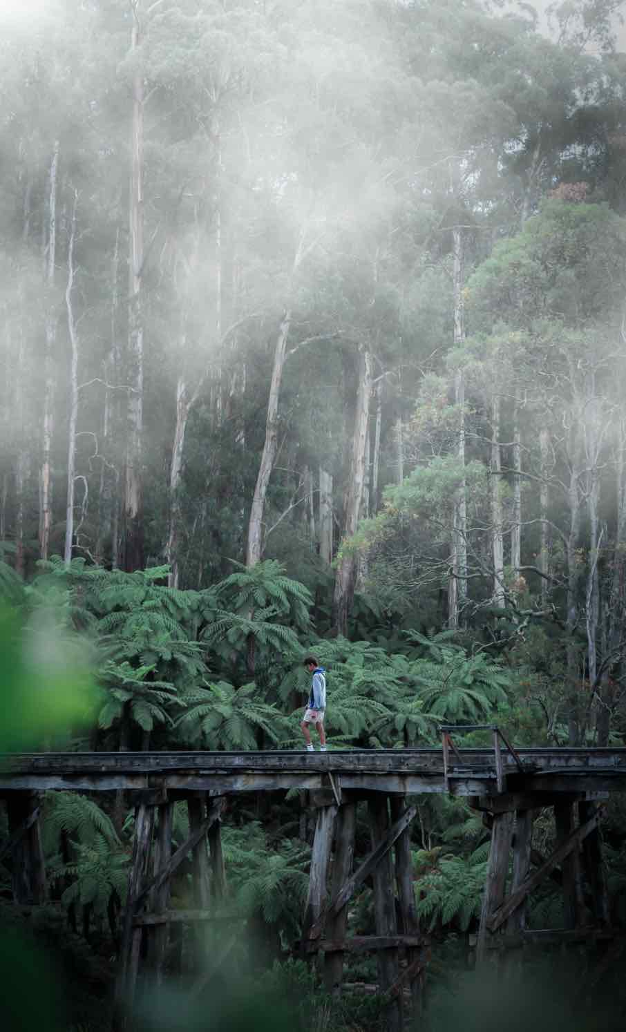 Training and Empowerment